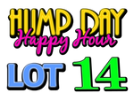 Lot 14: LCRC Hump Day Happy Hour Yard Sale