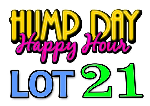Lot 21: LCRC Hump Day Happy Hour Yard Sale
