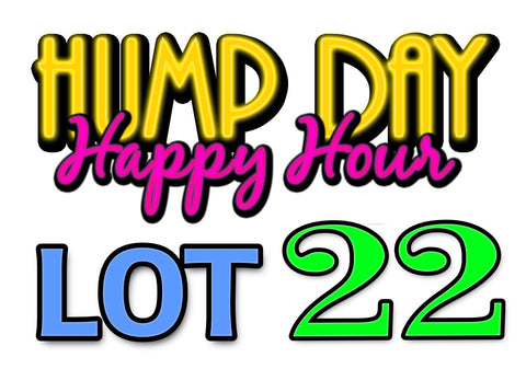 Lot 22: LCRC Hump Day Happy Hour Yard Sale