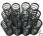 GFRP QS-1900 Big Bore Rated Shock Spring Set