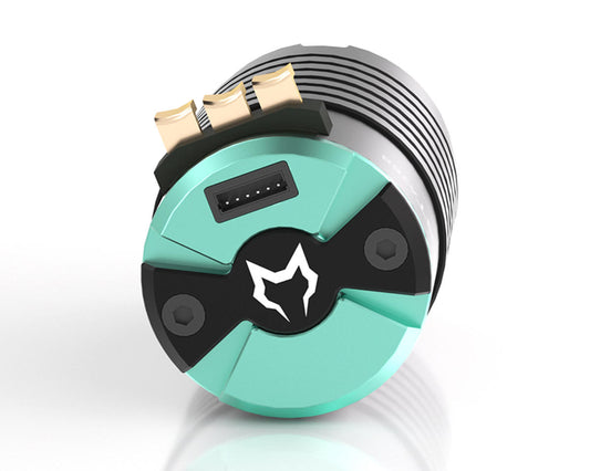 Cayote Crest CYEB10802 4268 1/8 Sensored Brushless Motor (2000kV) (IFMAR)