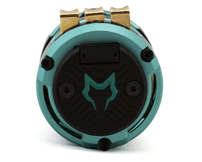 Cayote Crest CYEB11005 Modi 540 1/10 Sensored Brushless Motor (5.5T)