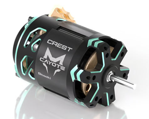 Cayote Crest CYEB11011 Stock 1/10 Brushless Competition Sensored Motor (13.5T)