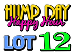 Lot 12: LCRC Hump Day Happy Hour Yard Sale