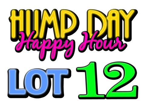 Lot 12: LCRC Hump Day Happy Hour Yard Sale
