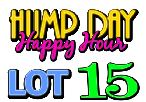 Lot 15: LCRC Hump Day Happy Hour Yard Sale