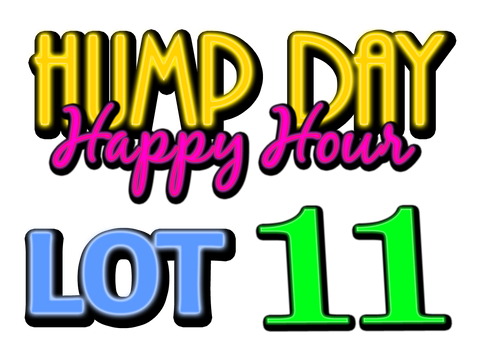 Lot 11: LCRC Hump Day Happy Hour Yard Sale