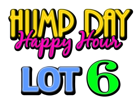 Lot 6: LCRC Hump Day Happy Hour Yard Sale