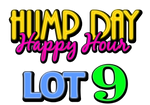 Lot 9: LCRC Hump Day Happy Hour Yard Sale