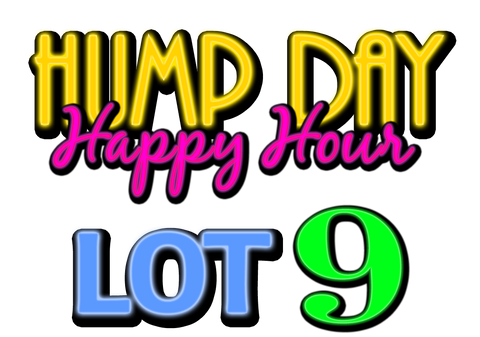 Lot 9: LCRC Hump Day Happy Hour Yard Sale