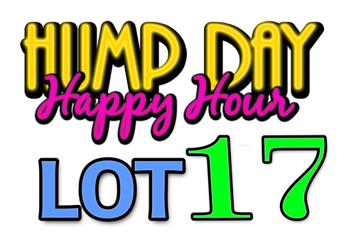 Lot 17: LCRC Hump Day Happy Hour Yard Sale