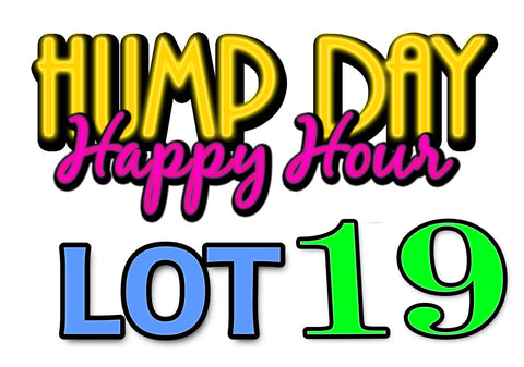Lot 19: LCRC Hump Day Happy Hour Yard Sale