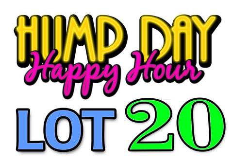Lot 20: LCRC Hump Day Happy Hour Yard Sale