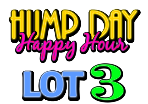 Lot 3: LCRC Hump Day Happy Hour Yard Sale
