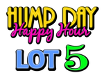 Lot 5: LCRC Hump Day Happy Hour Yard Sale