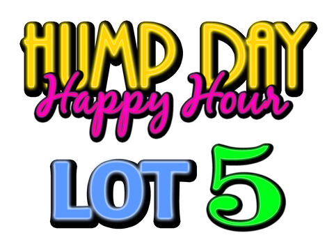 Lot 5: LCRC Hump Day Happy Hour Yard Sale